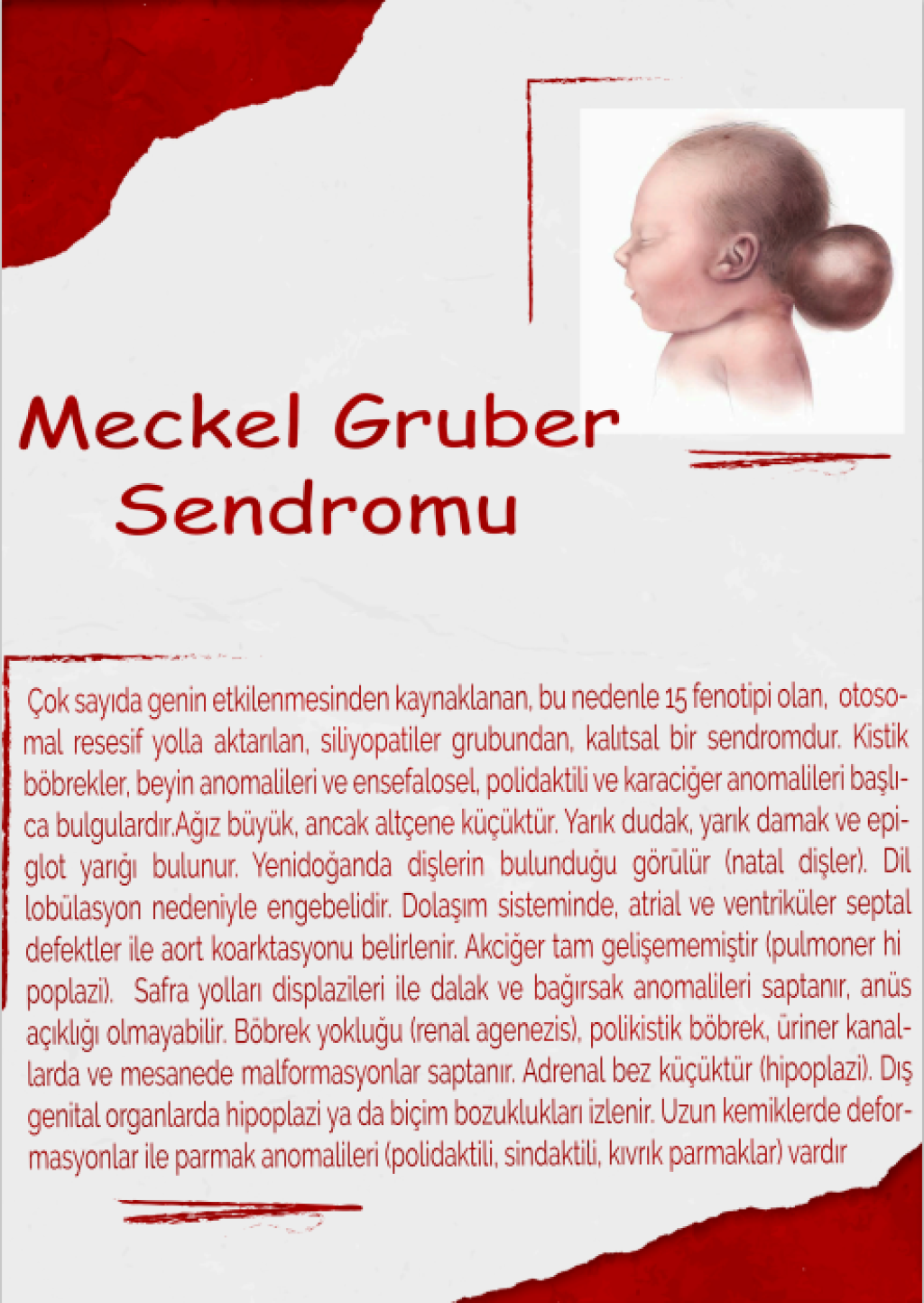 1709212401-Ekran görüntüsü 2024-02-29 151907.jpg